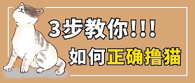 撸猫知识科普卡其色简约公众号首图