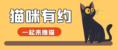 猫咪有约撸猫黄色简约公众号首图