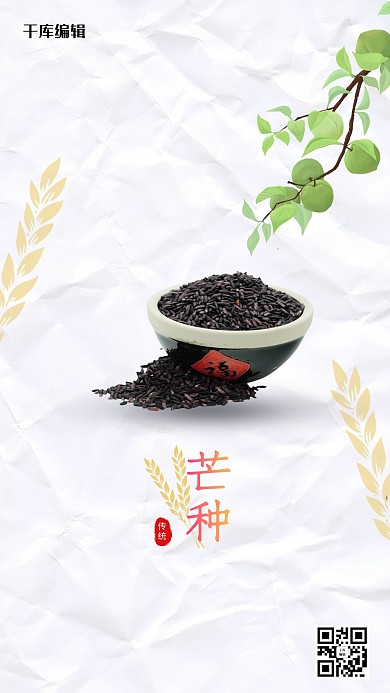 芒种节气谷物白色中式海报