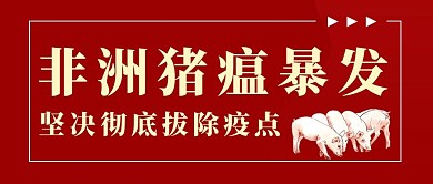 非洲猪瘟非洲猪瘟红色渐变公众号首图