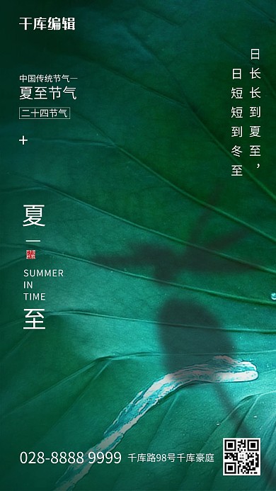 夏至荷叶荷花蜻蜓绿色简约节气海报