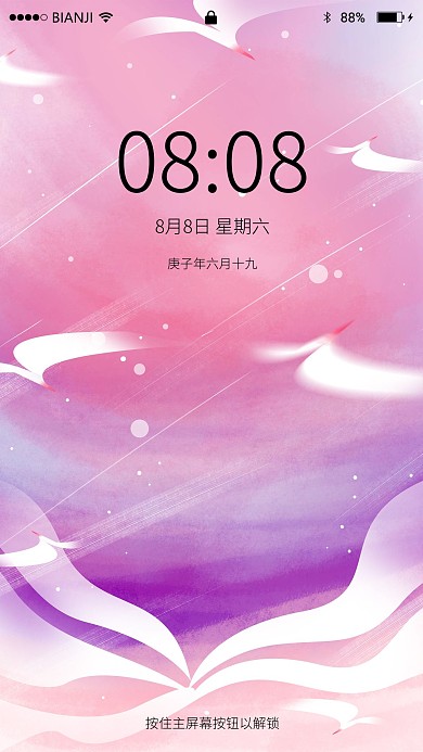 粉紫色渐变海鸥几何广告背景