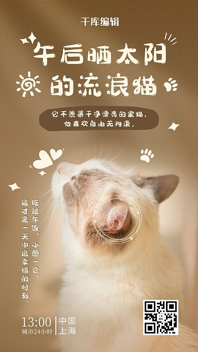 城市24小时流浪猫卡其色可爱风海报