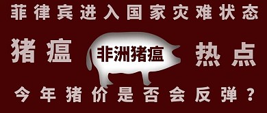 非洲猪瘟猪剪影红色简约公众号首图