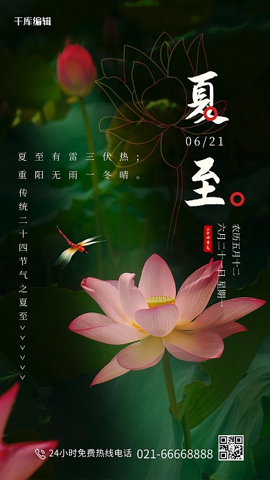 夏至荷花蜻蜓绿色摄影图节气海报