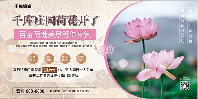 荷塘美景荷花旅游粉色简约展板