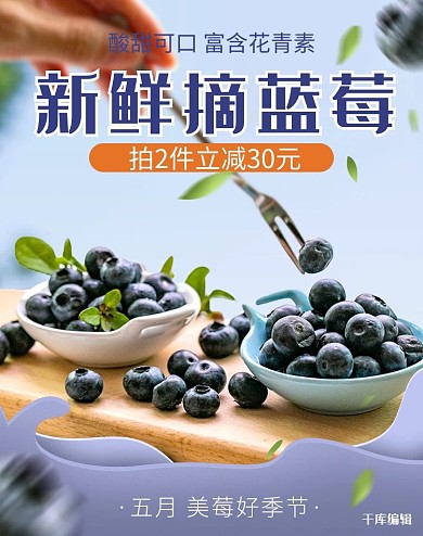 蓝莓水果促销摄影风电商竖版banner