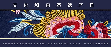 文化和自然遗产日摄影图蓝色商务风公众号首图