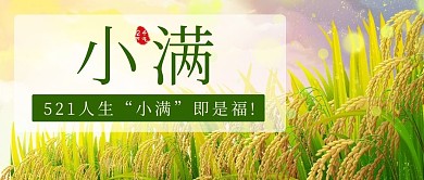 小满人生小满即是福彩色简约公众号首图