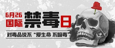 国际禁毒日骷髅灰色简约公众号首图