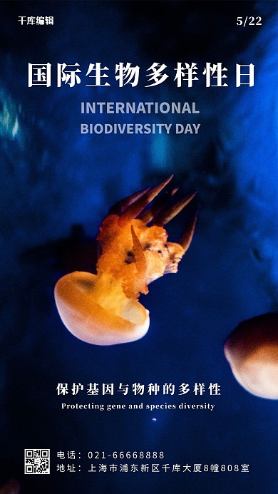 国际生物多样性日海洋动物深蓝摄影风手机海报