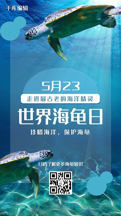 世界海龟日海龟蓝色摄影写实手机海报