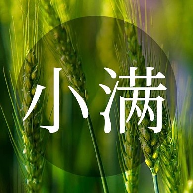 小满二十四节气彩色简约公众号次图