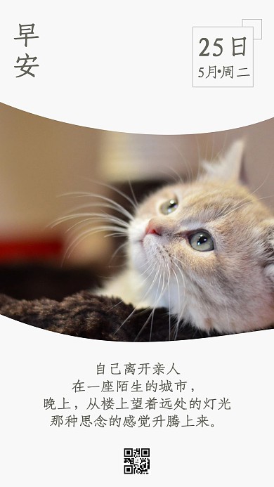 早安猫咪灰色小清新海报