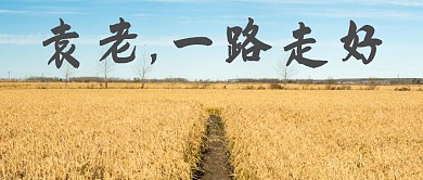 悼念袁隆平袁老一路走好摄影公众号首图