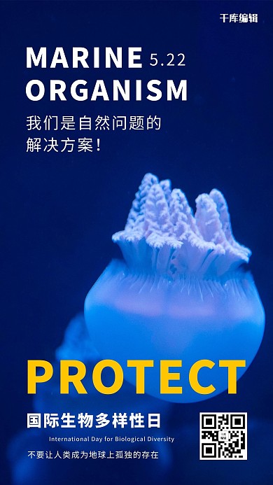 国际生物多样性日水母深蓝摄影风手机海报
