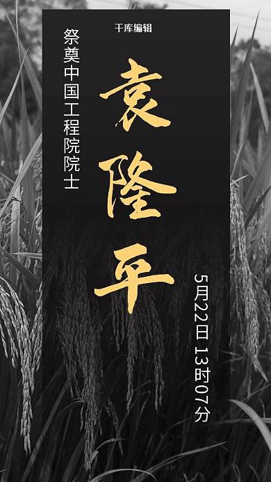 祭奠袁隆平逝世摄影图黑色商务风手机海报