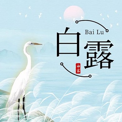 白露二十四节气彩色简约公众号次图