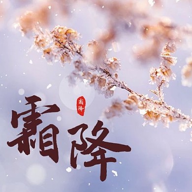 霜降二十四节气彩色简约公众号次图