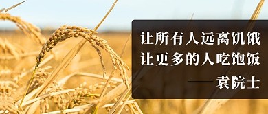 缅怀袁院士杂交水稻之父彩色简约公众号首图