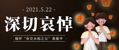 深切哀悼杂交水稻之父袁隆平彩色简约公众号首图