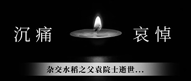 沉痛哀悼杂交水稻之父袁院士黑色简约公众号首图