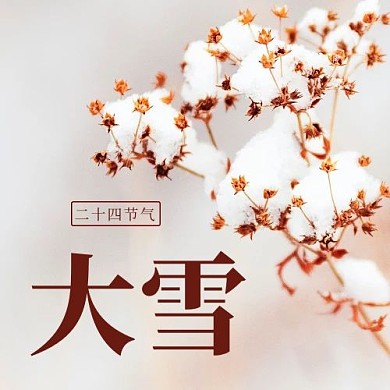 大雪二十四节气彩色简约公众号次图