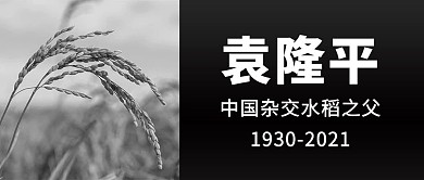 祭奠袁隆平先生摄影图黑色商务风公众号首图
