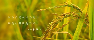 袁院士稻田黄绿色简约公众号首图