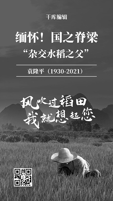 袁隆平热点稻田灰色简约风海报