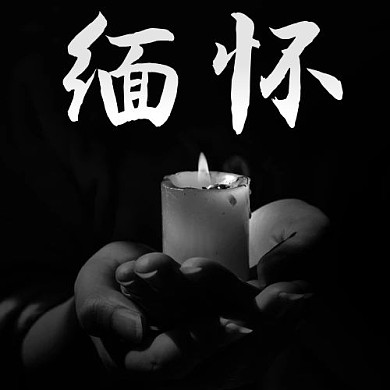 缅怀哀思灰色简约公众号次图