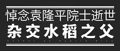 悼念袁老大字黑色大字公众号首图