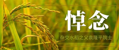 悼念杂交水稻之父袁隆平彩色简约公众号首图