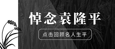 袁隆平热点水稻灰色黑色简洁大字公众号首图