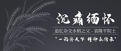 沉痛缅怀麦穗灰色简约公众号首图