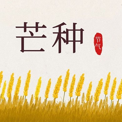 芒种节气小麦公众号次图