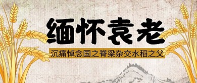 悼念袁老水稻黄色中国风公众号首图