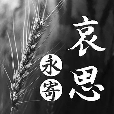 永寄哀思灰色简约公众号次图