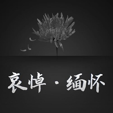 哀悼缅怀黑灰简约公众号次图
