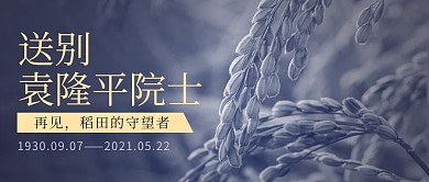 袁隆平热点水稻灰色大字简洁公众号首图