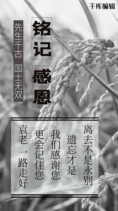 怀念袁隆平水稻黑色沉静手机海报