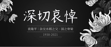 深切哀悼菊花黑色灰色简约公众号首图