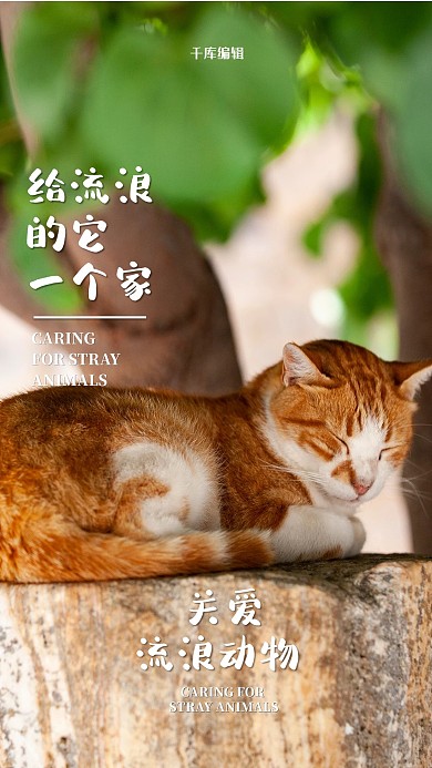 摄影图海报动物绿色简约海报