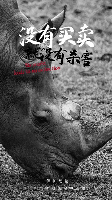 公益保护动物黑白简约海报