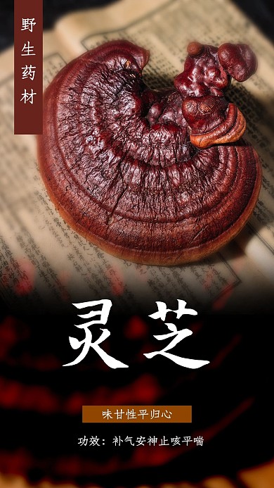 灵芝灵芝 中药黑色简约海报