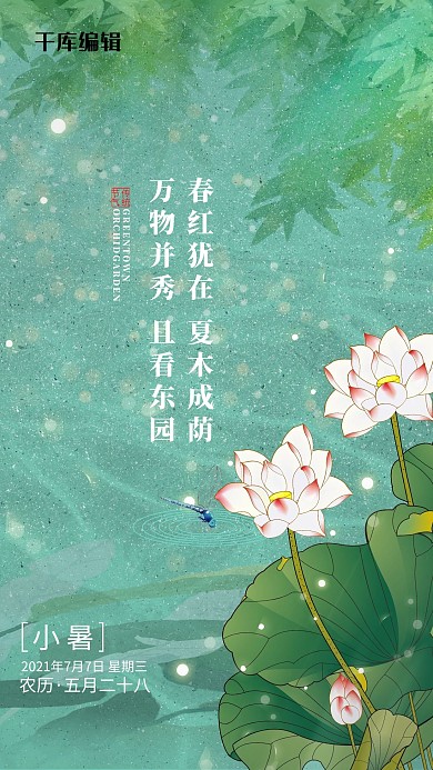 小暑荷花绿色简约海报