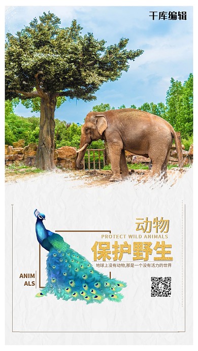 公益宣传大象暖色摄影海报