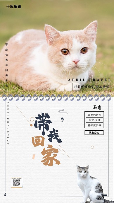 公益宣传猫淡色摄影海报