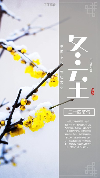 冬至节气摄影图腊梅传统海报