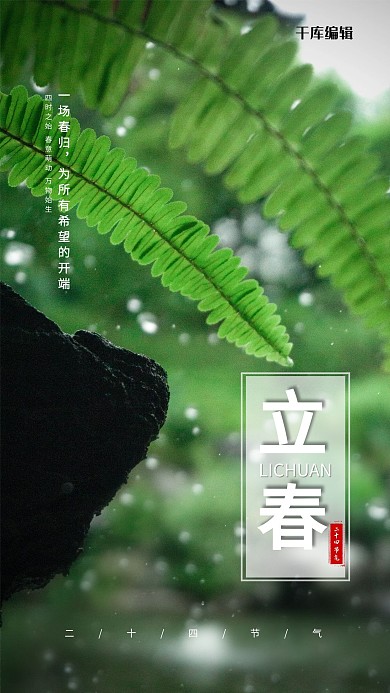 立春小草水珠绿色摄影图节气海报